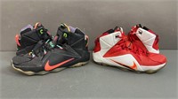 2pc 2014 LeBron 12 Data & Heart Of A Lion