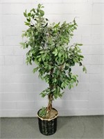 Faux Ficus Tree In Basket - Over 7 Ft Tall