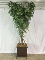 PLANT ON STAND