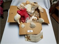 Large Box of Seashells, Starfish, Etc.