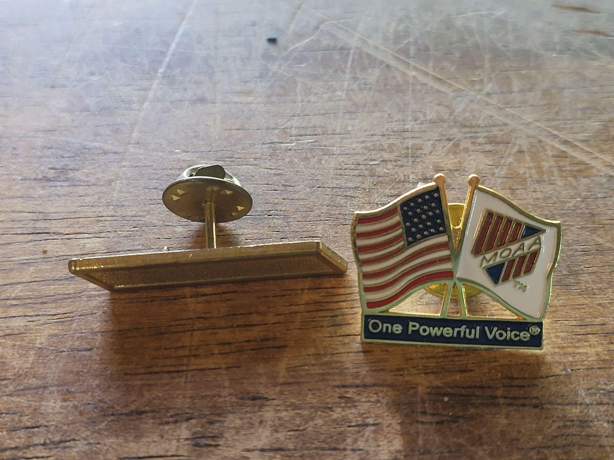 Lapel pins