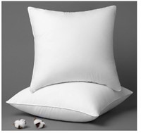 Phantoscope 18 x 18 Pillow Inserts (2 Pack)