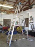 Werner 10' aluminum step ladder