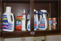 Contents of Cabinet Misc Cleaning Supplies