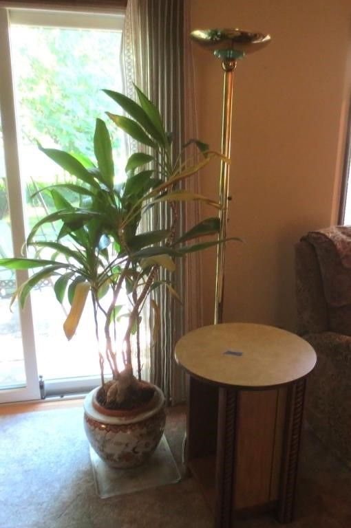 Floor lamp, vase w/real house plant, round stand