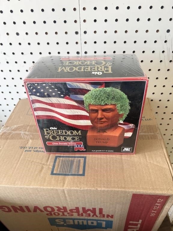 Donald Trump Chia