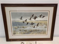 "Winging South - Canada Geese" - Maynard Reece,
