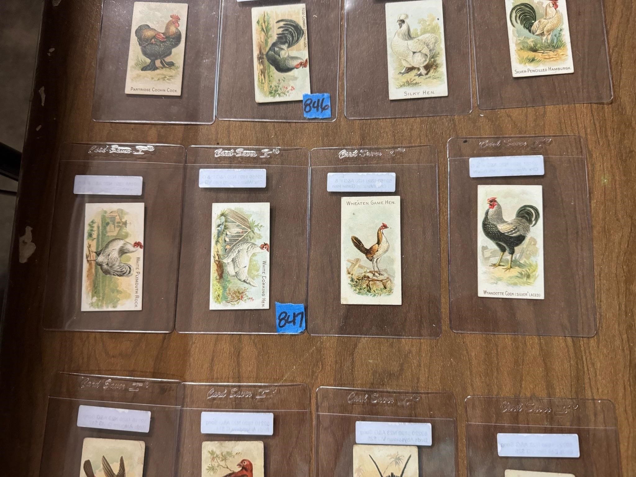 (4) Allen & Ginter 1891-Birds