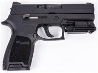 Gun Sig P250 Semi Auto Pistol in 45 ACP