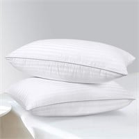 2 Pack Pillows, Cotton, 20x26, Medium Support