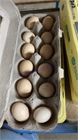 12 Fertile Serama Eggs