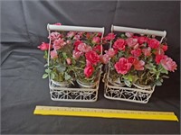 Miniature garden roses in carrying containers.