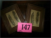 2 4"X6"FRAMED NATIVE AMERICAN FEATHERS