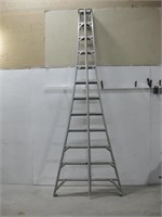 12' Ladder W/Pole Extension