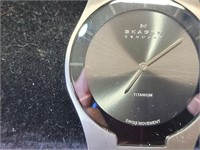 Skagen Watch