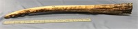Approx. 29" fossilized ivory tusk, with extreme de