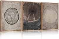 CHDITB Beige Tree Ring Framed Canvas Wall Art