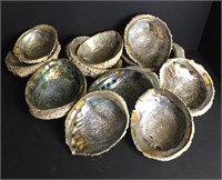 Catalina Island, California Souvenir Shells