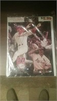 Mark McGwire limited edition hand-numbered photo