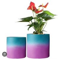 New 2 Pack Ceramic Planter Pot





6.7/5.5