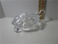 GLASS TURTLE