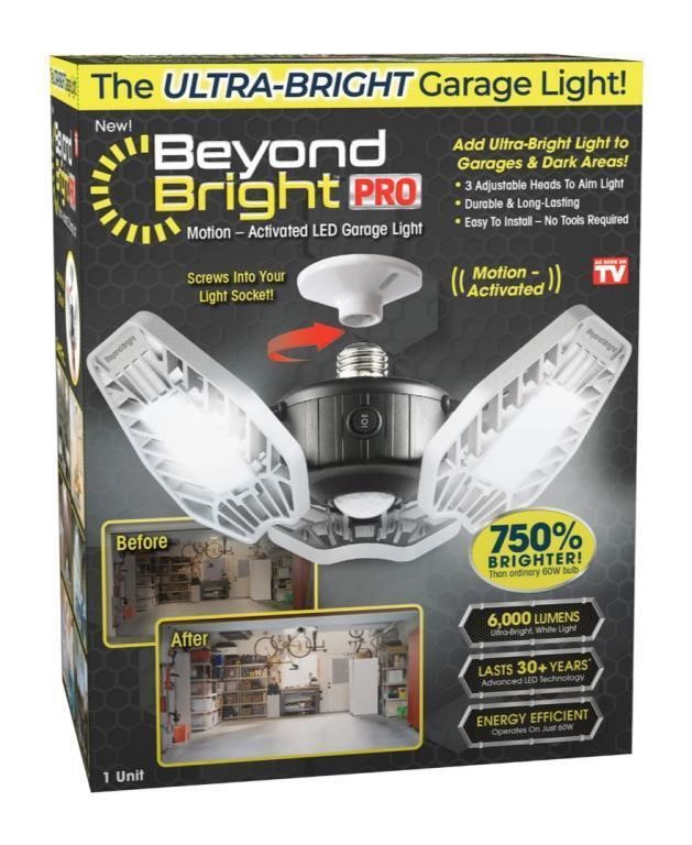 Motion activated garage light