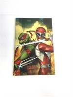 Power Rangers/TMNT II (R1CO)