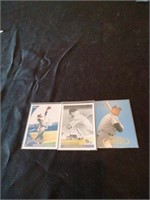 Mickey Mantle baseball cards