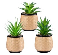 La Pure 3 Pack Artificial Succulent Plants Potted