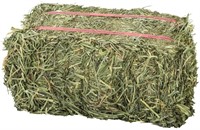 Grandpa's Best Orchard Grass Bale, 10 Lbs