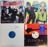 Vintage Vinyl Record Albums - Fabulous Thunderbird