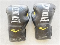 Boxing Gloves EVERLAST Size Large