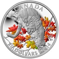 Canada 2014 Fine Pure Silver $20 - Colour