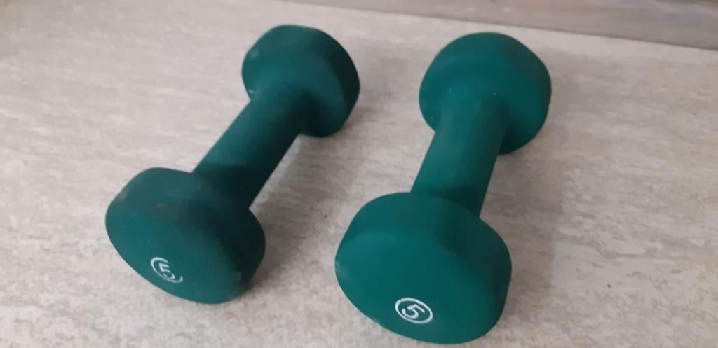 2 5 LB Arm Curl dumbells