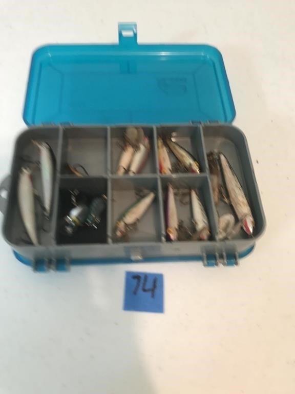 Fishing Lures in Case