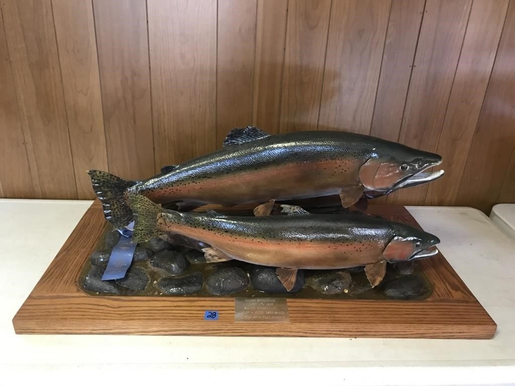 Pair of Fish Display Mount