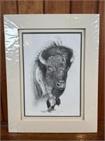Signed/numbered Buffalo drawing art Cleveland red
