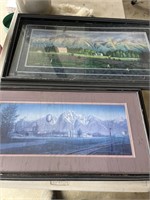 set of two framed Shane lamb prints