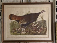 Wild Turkey J.J. Audubon Print