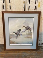 Framed Duck Scene