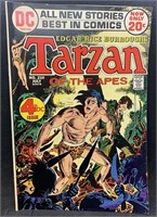 DC's Tarzan of the Apes #210 Comic Book