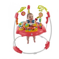 Fisher Price Pink Petals Jumperoo with 360