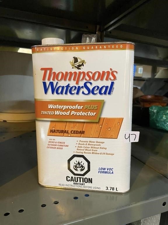 THOMPSONS WATER SEAL