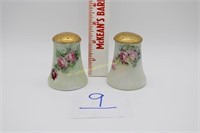 Hand Painted Porcelain Salt and Pepper Shakers