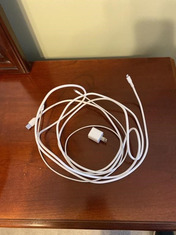 iPhone Chargers