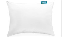 BILOBAN TODDLER PILLOW AND PILLOWCASE 13x18 IN