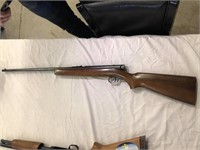 Winchester Repeating Arms Model 74 .22 LR