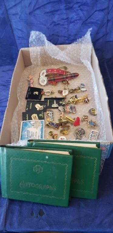 Tray Of Assorted Jewelry, Pins & More