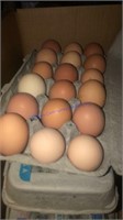 6 Doz Mixed Eating Eggs