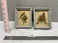 Vintage Small Framed Bird Prints